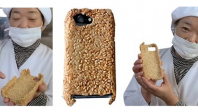Photo of Cover commestibili per iPhone direttamente dal Giappone. La firma &egrave; di Mariko