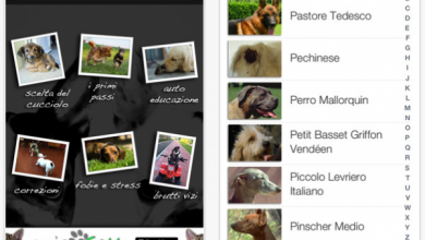 Photo of L&rsquo;applicazione a quattro zampe: Amicocane si aggiorna!